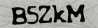B5ZkM