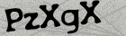 PzXgX