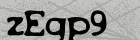 zEgp9